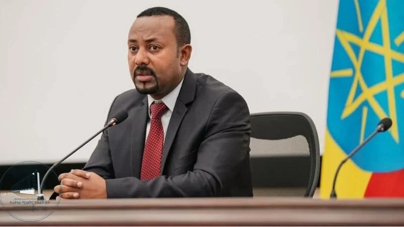 Ethiopia: Ruling party ready to form strong government if elected, says PM Abiy