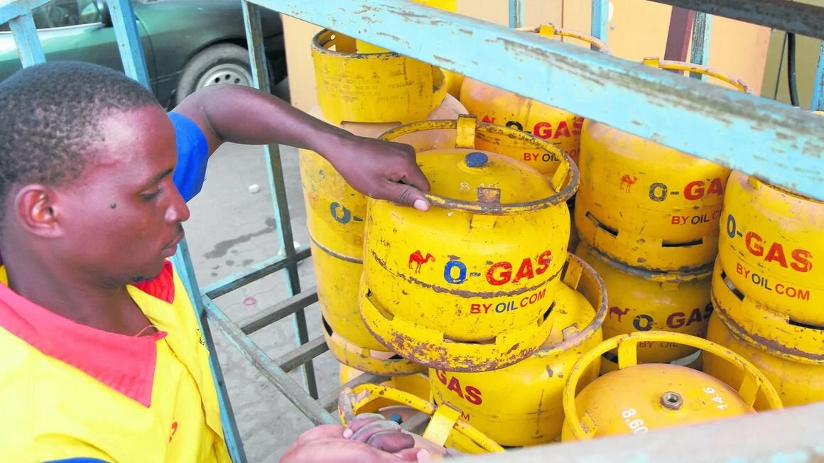 Liquefied petroleum gas imports soar in energy shift