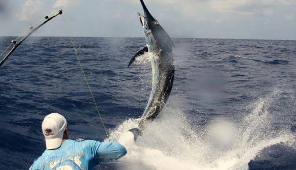 Zanzibar vows to realise blue economy agenda