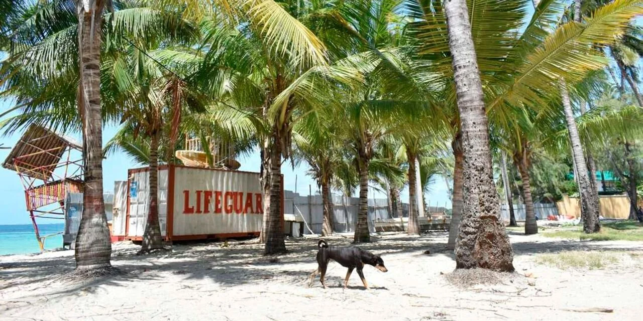 Kenya: Focus on Covid-19 jabs and not lockdowns, trade groups insist