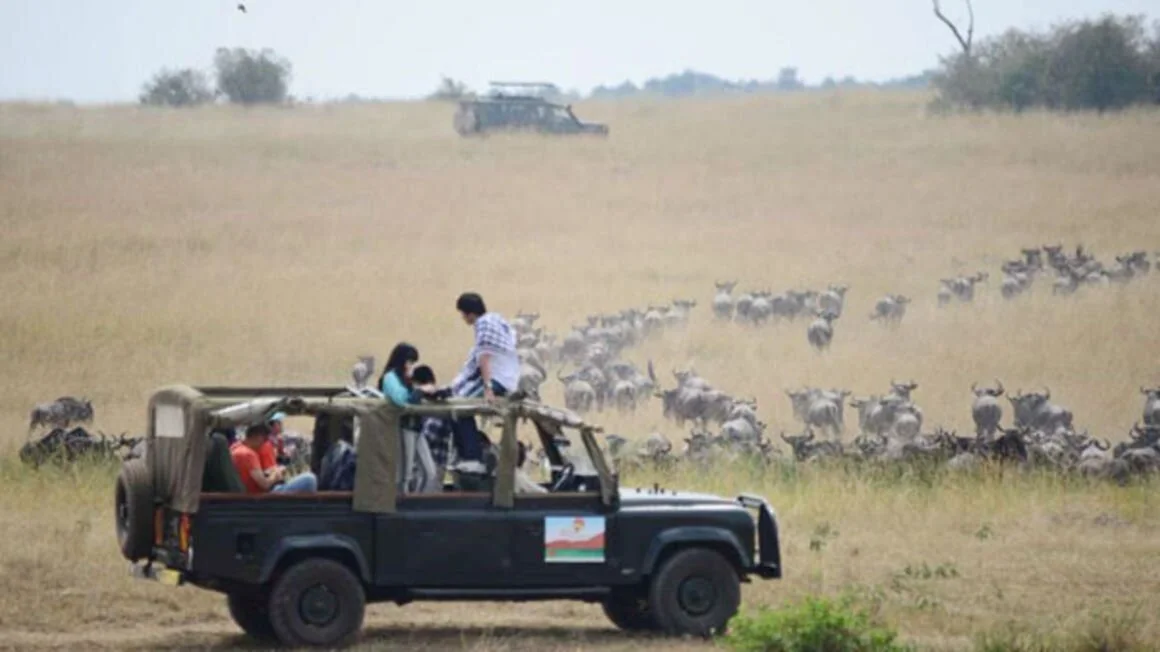 EAC tourism sector lost $4.8b, 2m jobs