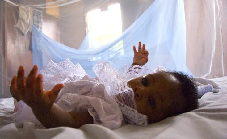 Tanzania commits to end malaria infection by 2030