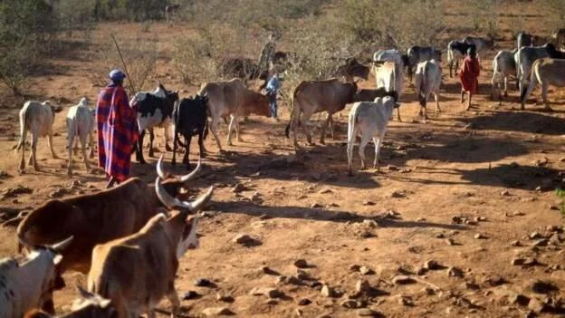 Kenya declares drought a national disaster
