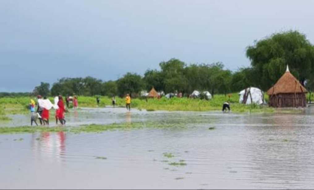 Nearly 500,000 South Sudanese affected by floods - UN