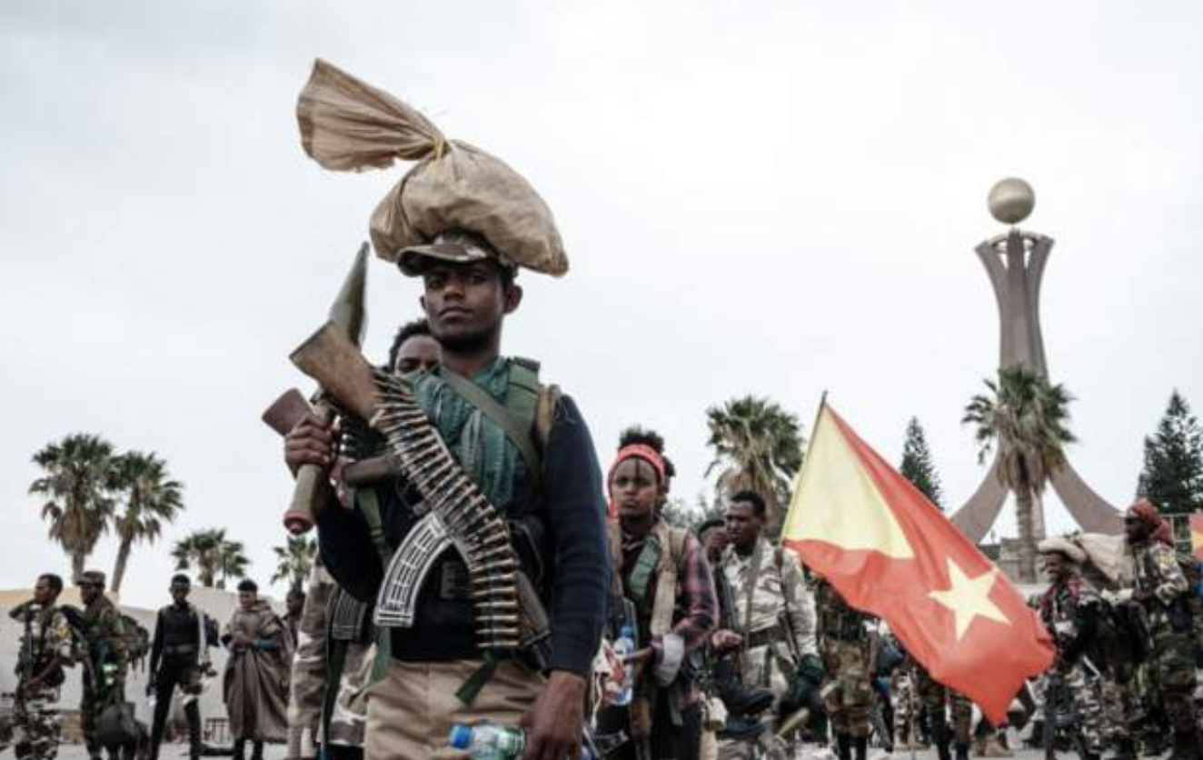 Tigray rebels meet Oromo rebels - TPLF spokesman