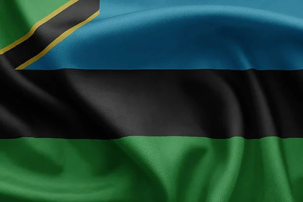 Tanzania: Zanzibar House Passes Historic New Drug Law, Paving the Way for 'Victory'