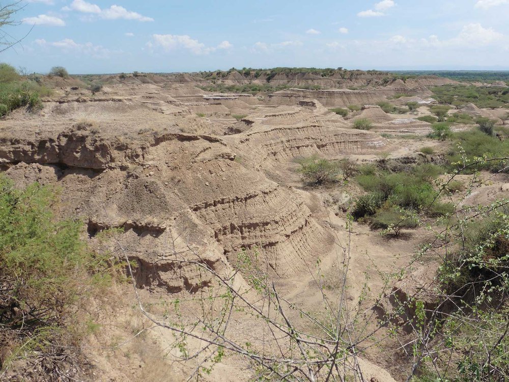 East Africa’s Oldest Modern Human Fossil Is Way Older Than Previously Thought