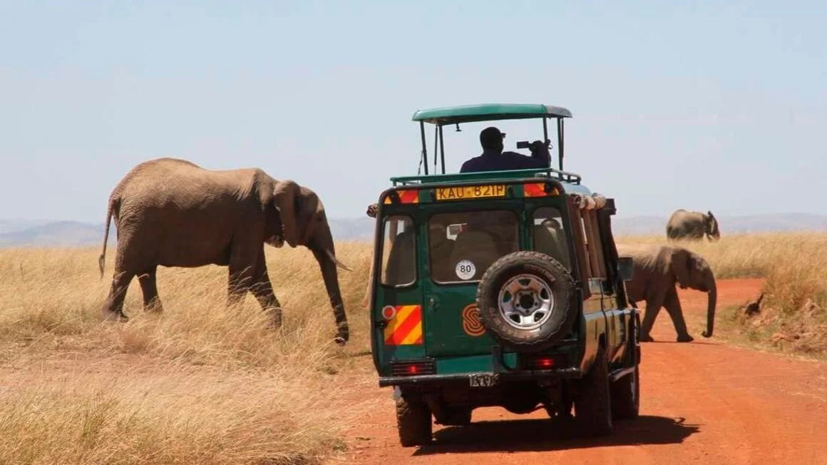 Uganda, Tanzania top Kenya’s tourist source markets in E. Africa