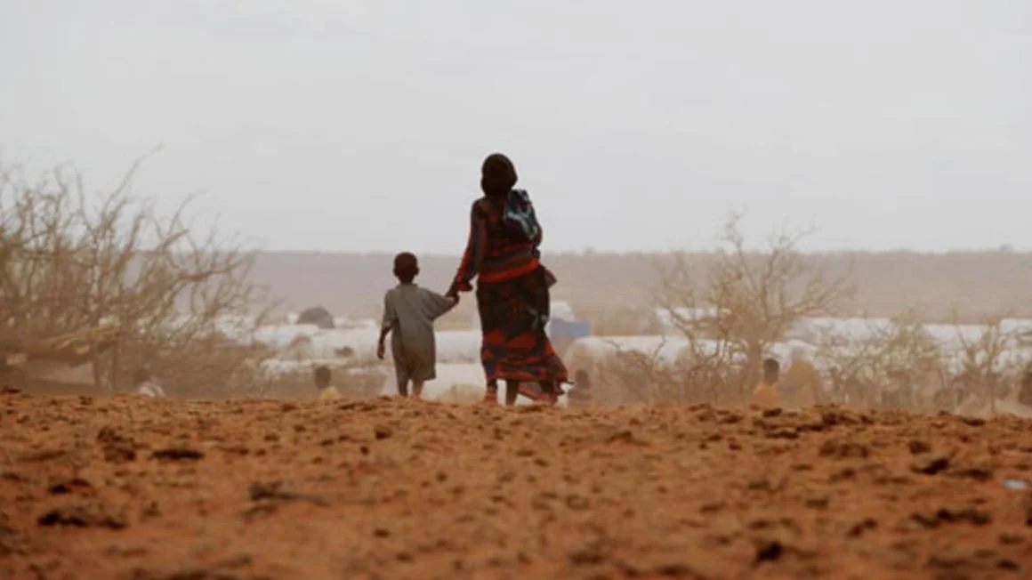 Drought ravages Somalia as leaders bicker over polls