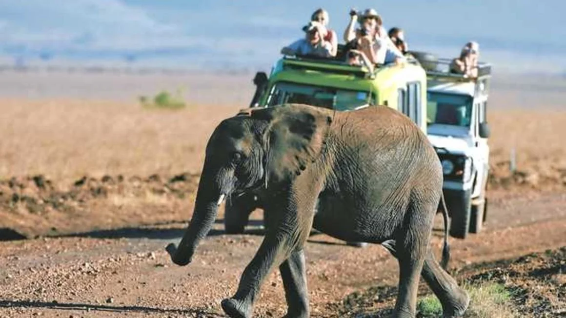 Tanzania woos US tourists with trophy hunting safaris