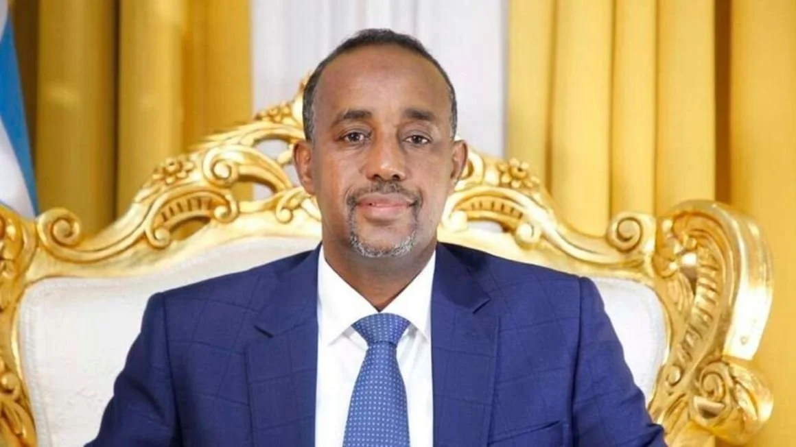Somalia regional court complicates tiff over seized UAE money