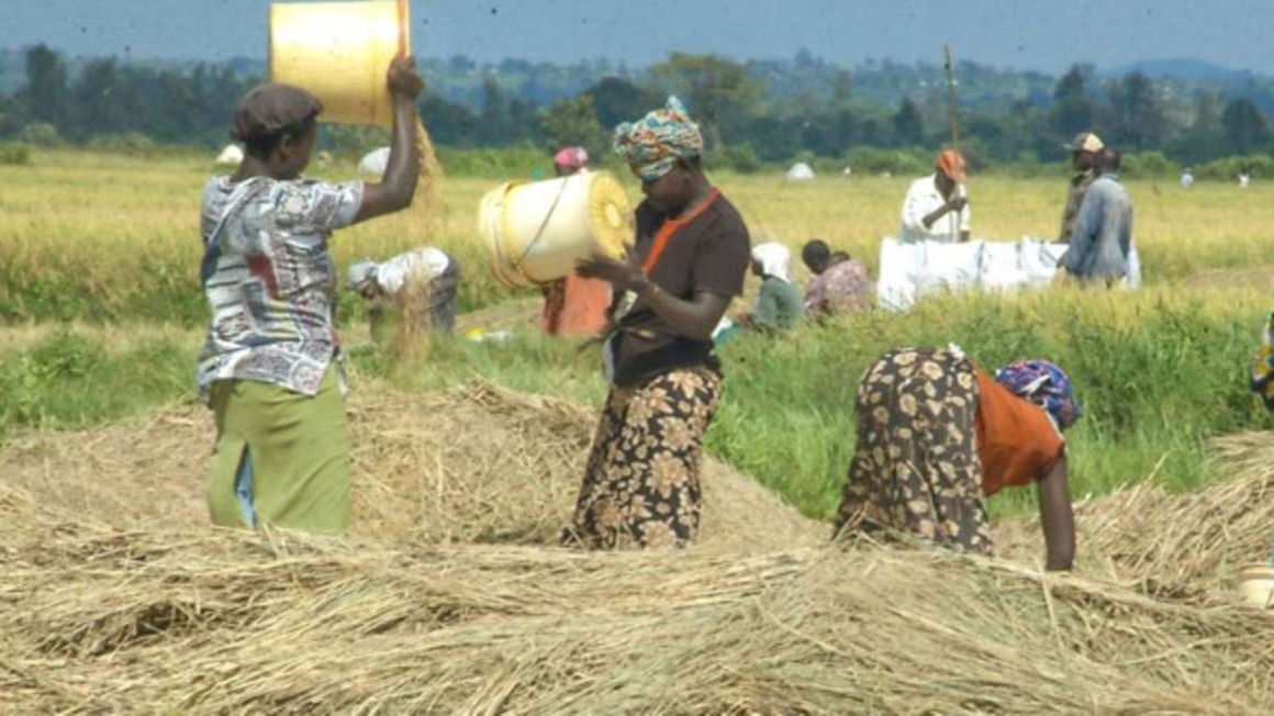 World Bank to give Kenya $200m agriculture loan