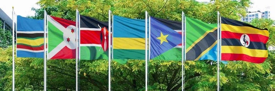 East Africa: Enhance Local Govts Capacities, EAC Urged