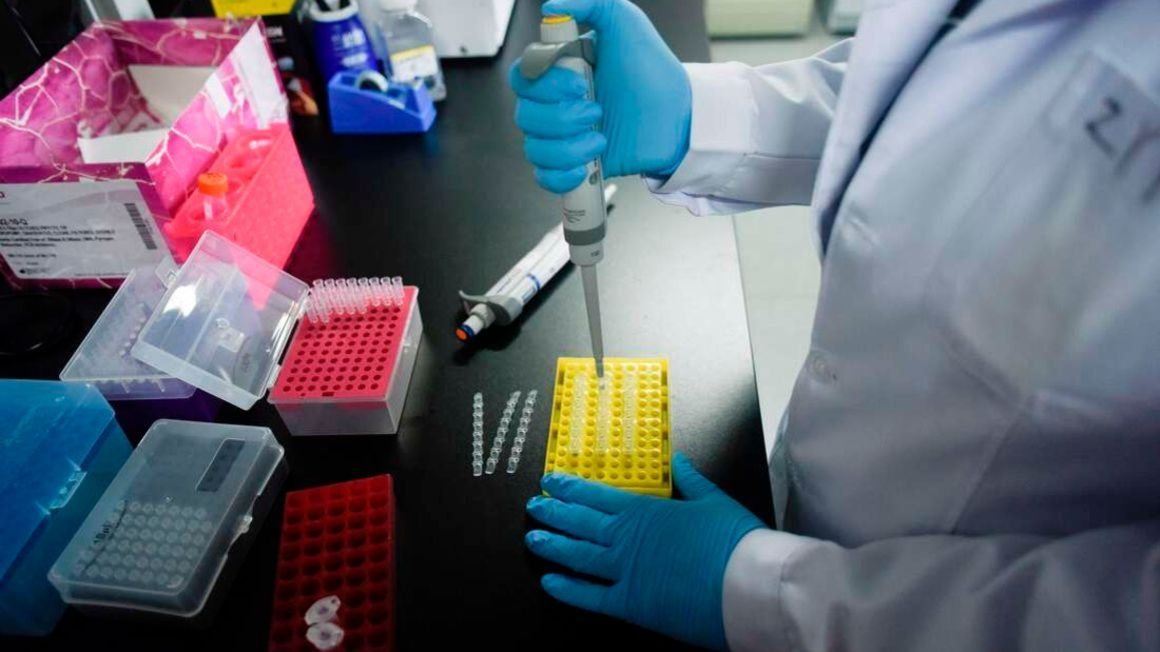 Samia seeks EU funds for Covid vaccines manufacture