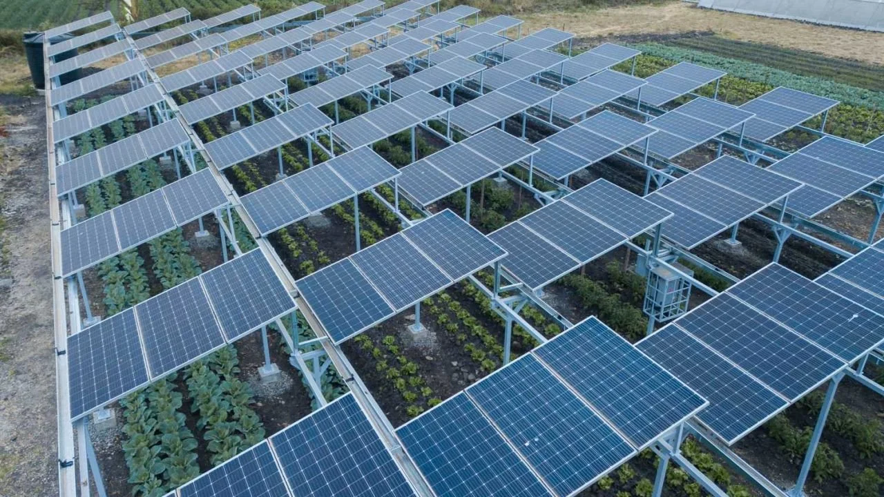 Launching East Africa’s first combined solar energy and agriculture system