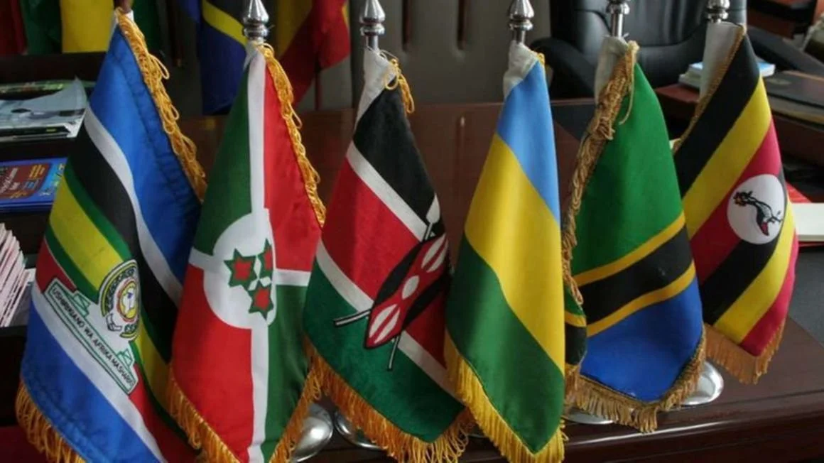 Central banks raise doubts on East Africa single currency by 2024