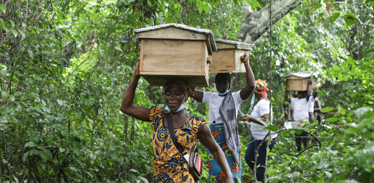 Afrievolve: strengthening local organisations in East and West Africa