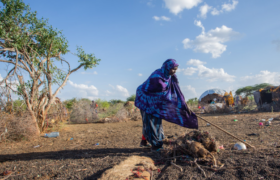 As many as 28 million people across East Africa at risk of extreme hunger if rains fail again