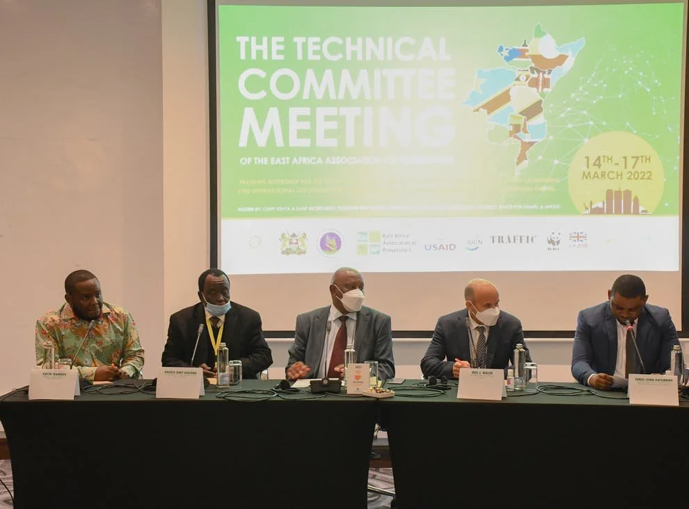 Prosecutors in East Africa pledge to end money-laundering so wildlife crime no longer pays