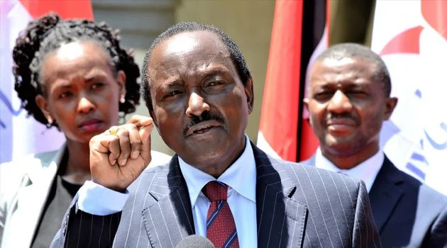 Kenya: Search for Odinga's Deputy Begins as Kalonzo Threatens to Skip Vetting