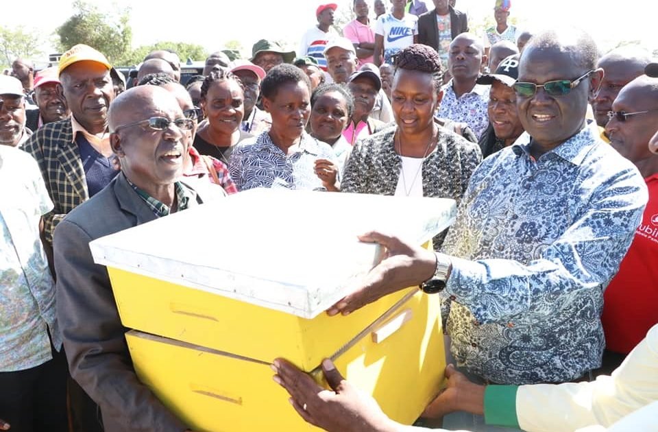 Kenya: Meru Distributes Beehives Worth Sh3 Million to Help Keep Elephants at Bay