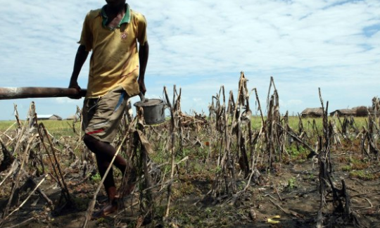 Kenya: Kajiado Residents Staring At Starvation After Failed Rains