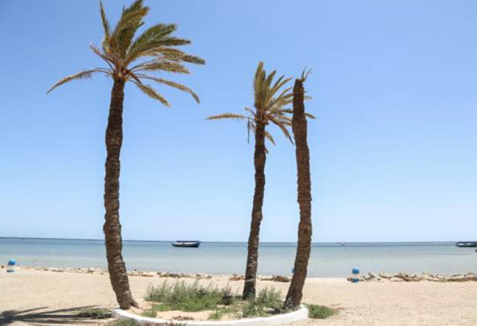 Boat carrying 100 migrants sinks off Tunisia coast