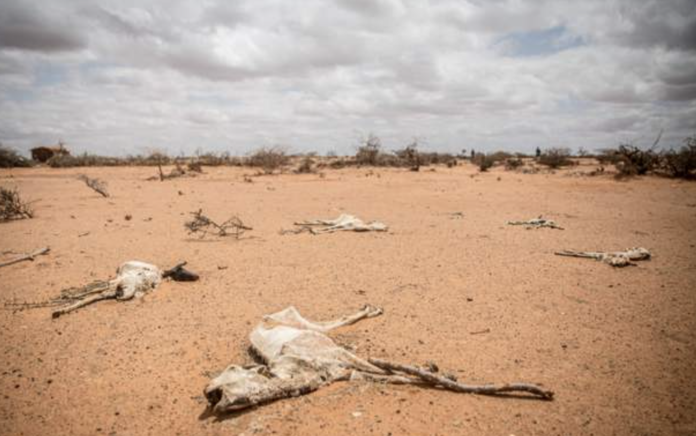 UN urges urgent action to avert famine in Somalia
