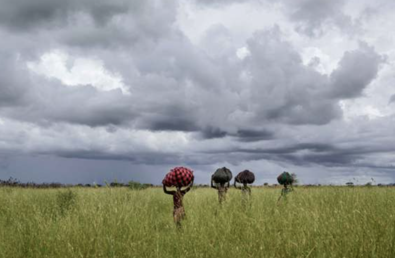Northern Ugandans face starvation as hunger bites - UN
