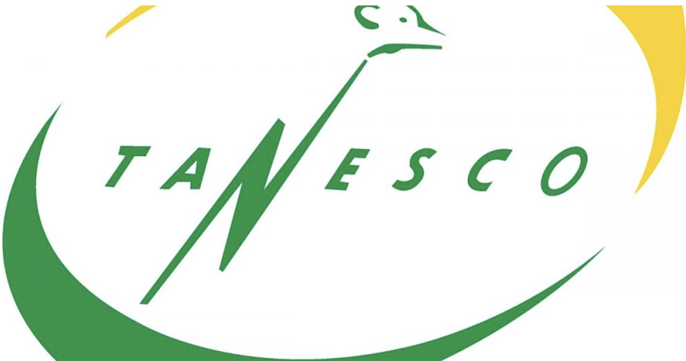 Tanzania: Tanesco Customers to Use Ni Konect App to Access Services