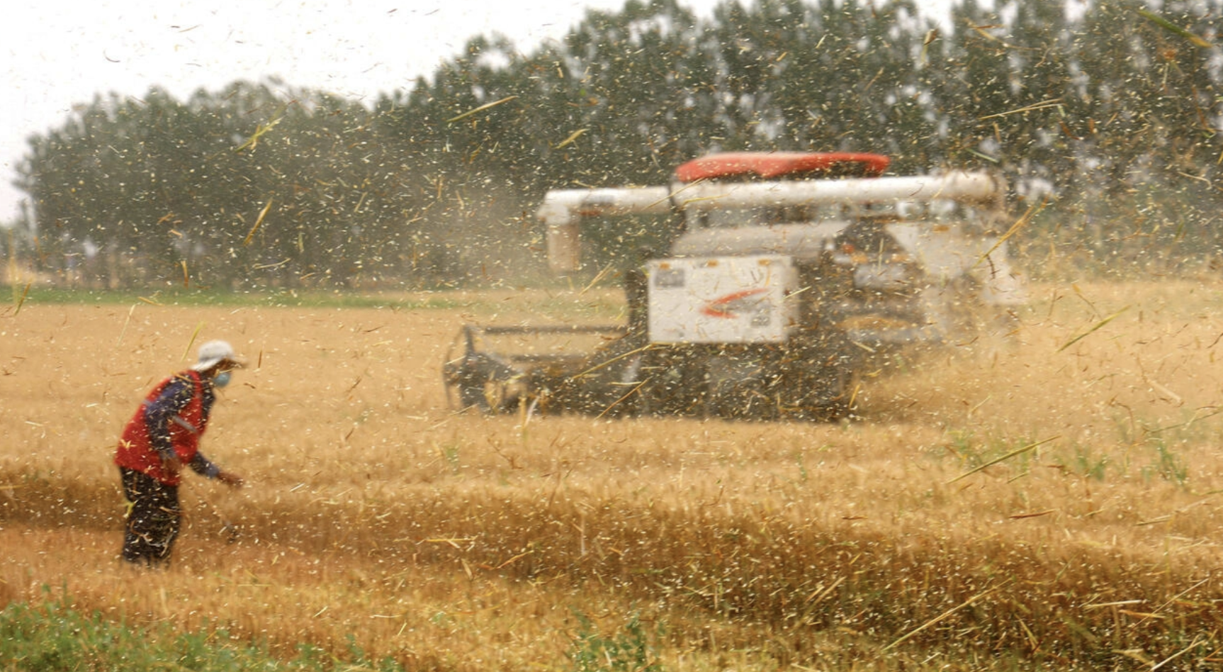 Tanzania: High Commodity Prices Widen Current Account Deficit