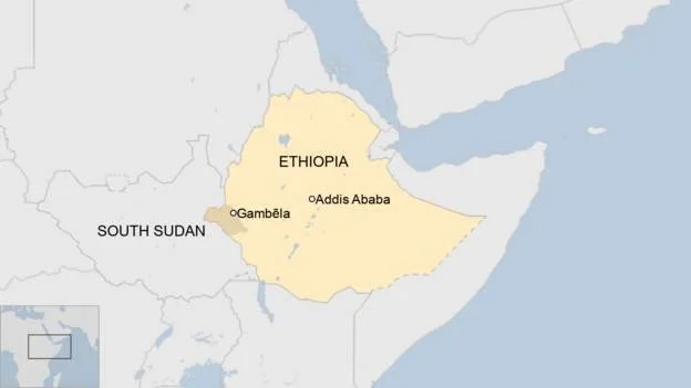 Video of unarmed man's killing sparks Ethiopia uproar 
