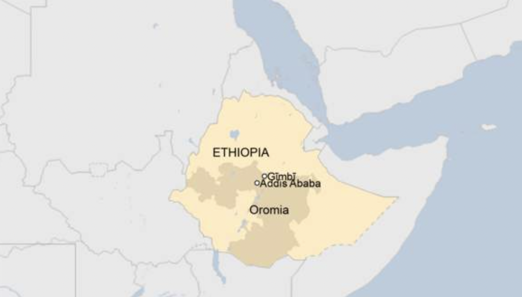 Many killed, homes burnt in Ethiopia - witnesses