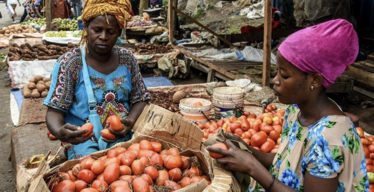 Fertiliser shortage hits African farmers battling food crisis