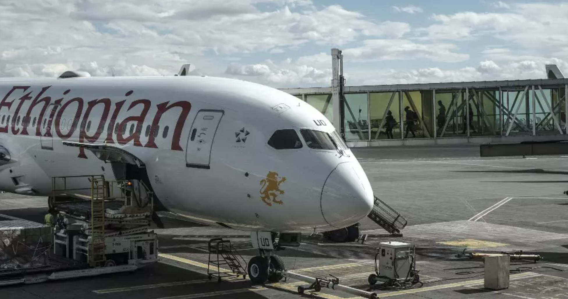 Fog forces flights to divert from Ethiopia's main airport