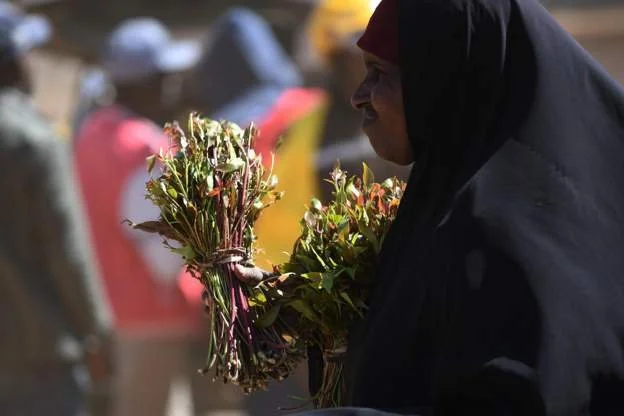 Kenya resumes khat exports to Somalia 