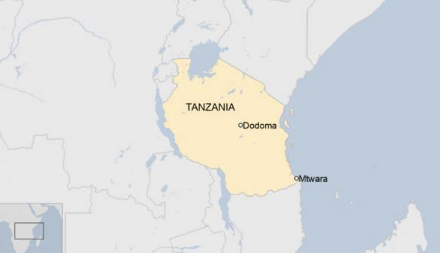 Eight schoolchildren die in Tanzania bus accident