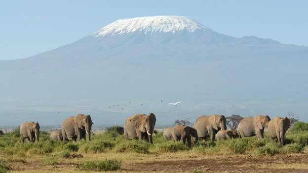 Tanzania offers internet on Africa's tallest mountain 