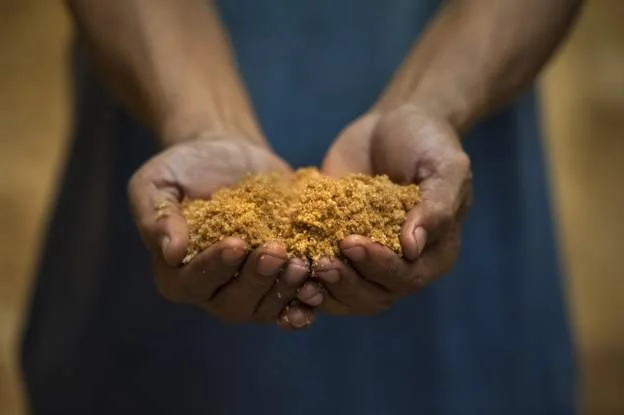 Ethiopia seeks to privatise state-owned sugar mills 