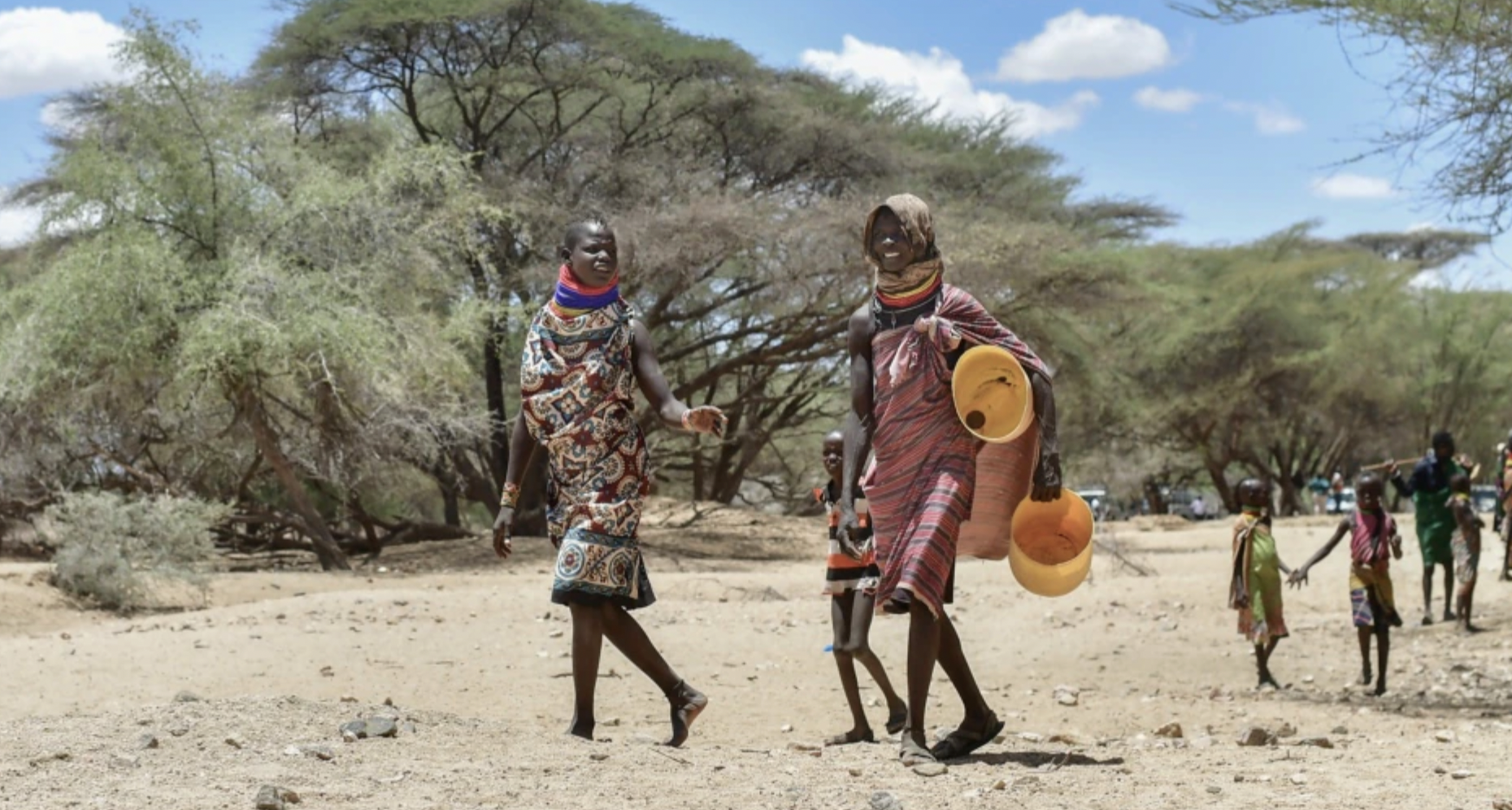 Legal bid to stop GM crops in Kenya