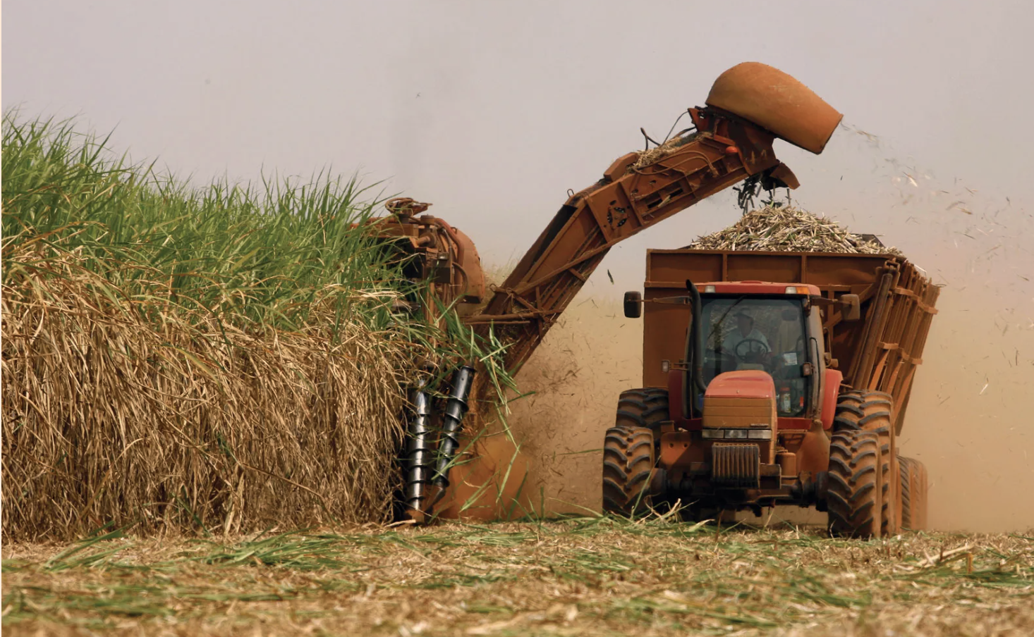 Tanzania Moves to End Sugar Shortage