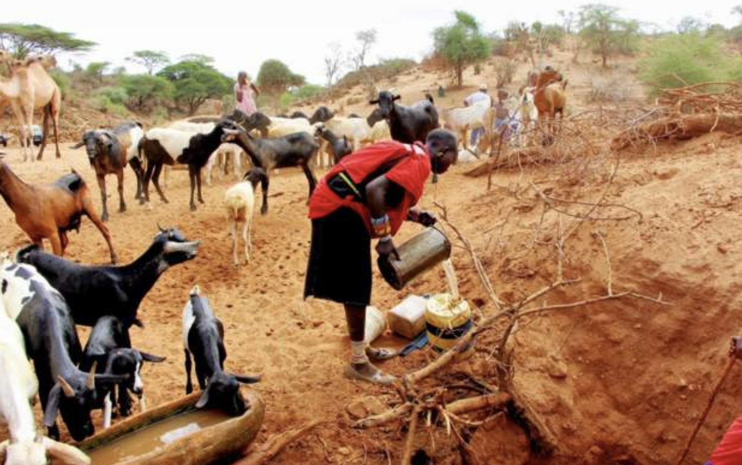 Kenya ministers to forgo a month's pay in drought aid