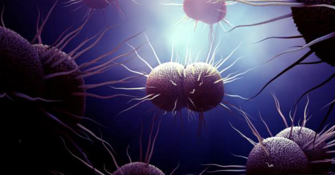 New gonorrhoea strain detected in Nairobi