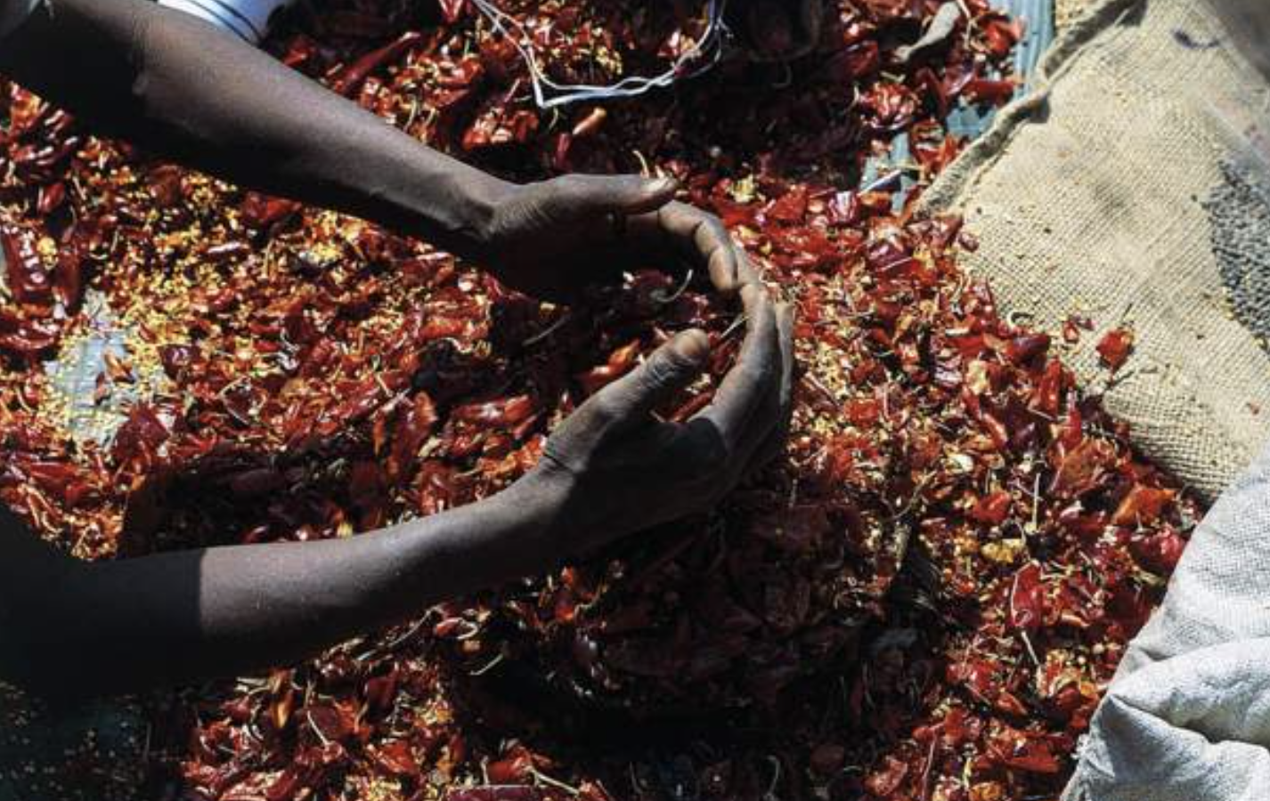 Escaped Ethiopia prisoners immobilise guards with chilli