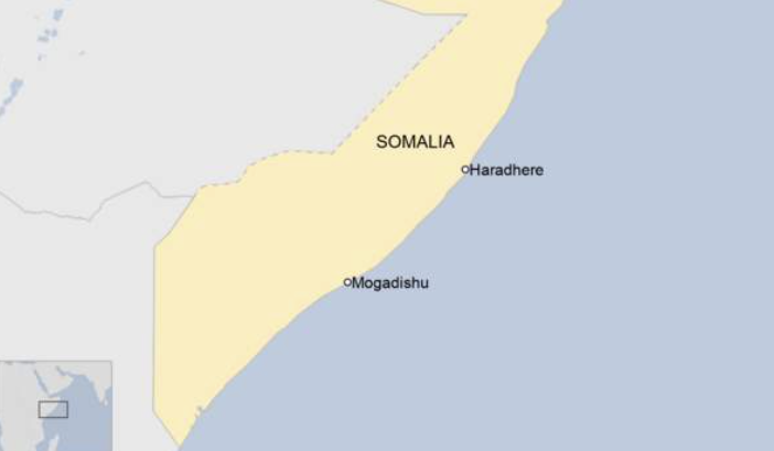 Somali forces take key coastal town from al-Shabab