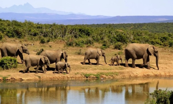 Kenya: Malonza Says Cuts On Travel Budget Will Cripple Efforts to Market Kenya