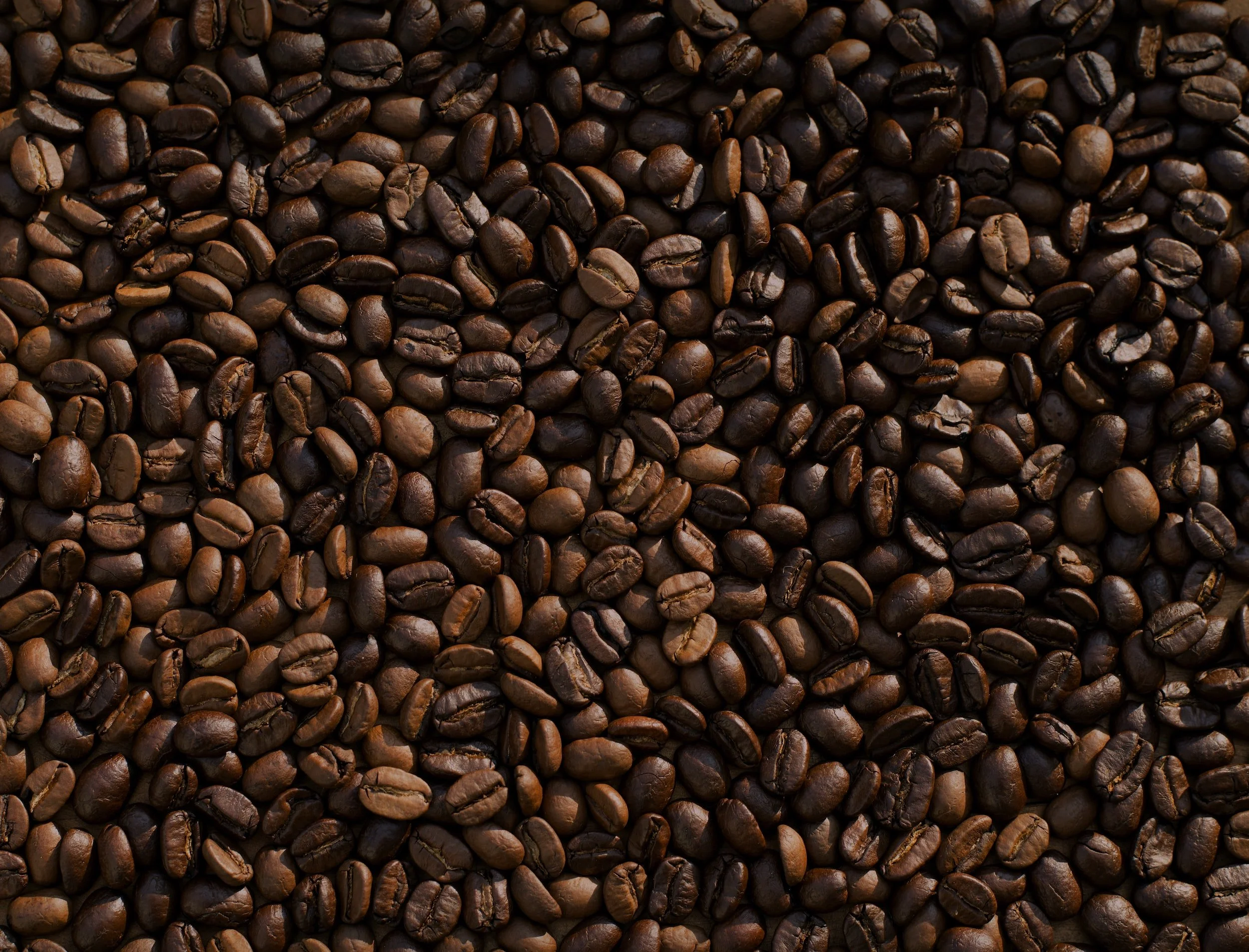 Ethiopia: Coffee Processing Factory in Oromia Starts Exporting Coffee By Adding Value On Its Products