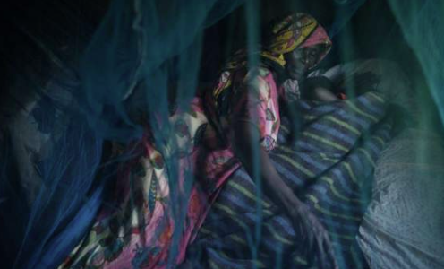 Kenyan officials sacked for mosquito net scam