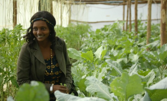 Africa: Innovations in Agriculture Can Drive Climate- Change Mitigations
