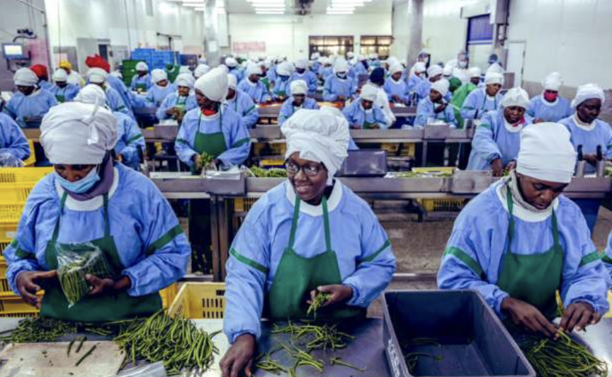 Kenya signs tariff-free trade deal with EU